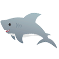 Shark Swimming Class